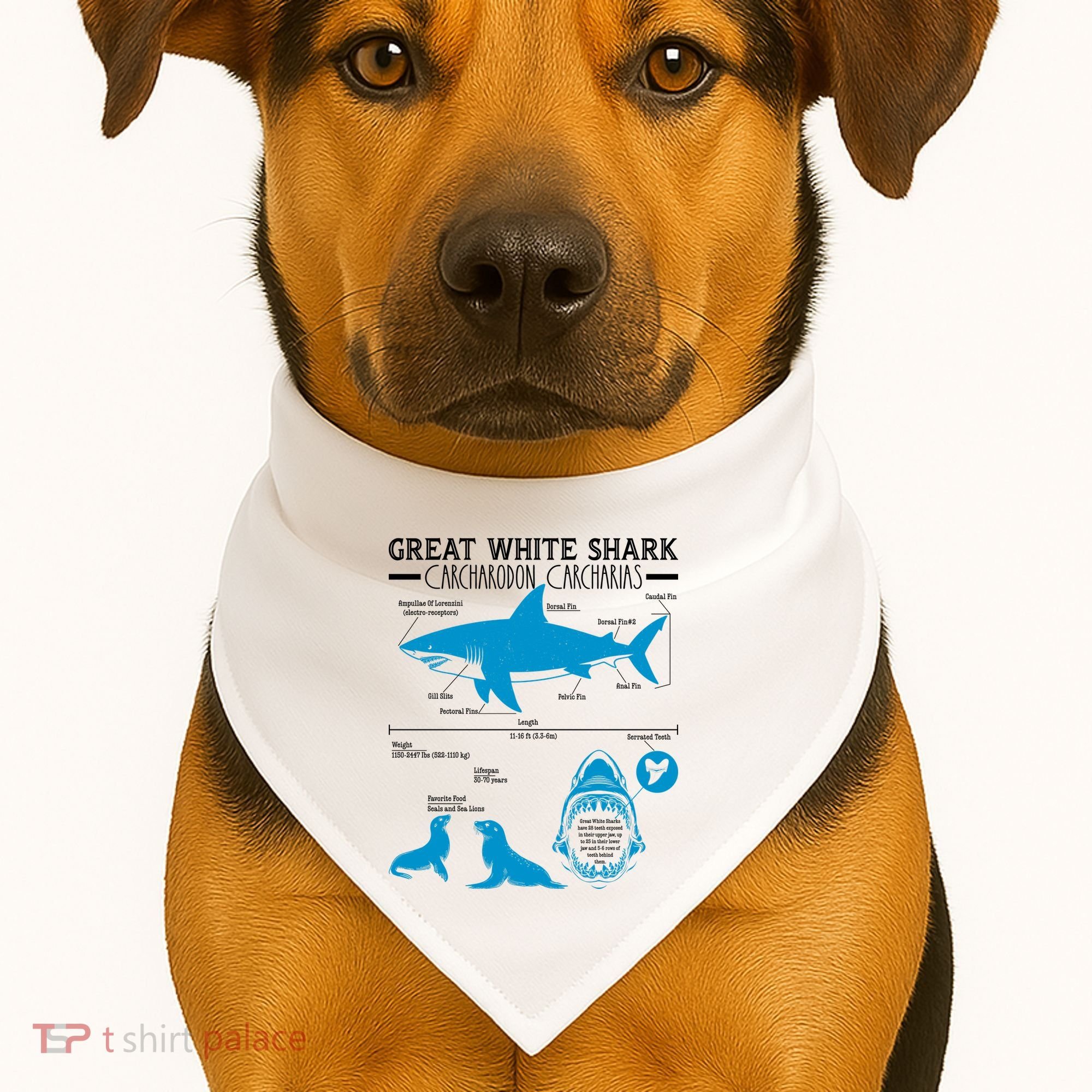 Great White Shark Carcharodon Carcharias Infographic USA-Made Doggie Bandana