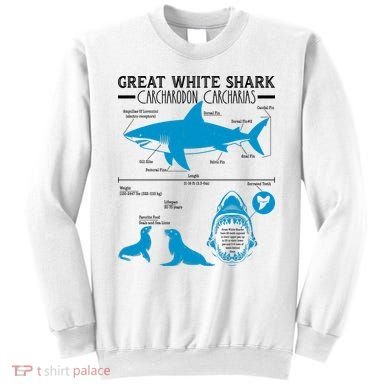 Great White Shark Carcharodon Carcharias Infographic Sweatshirt