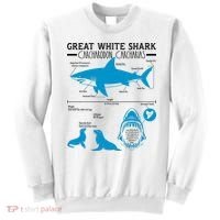 Great White Shark Carcharodon Carcharias Infographic Sweatshirt thumb 0