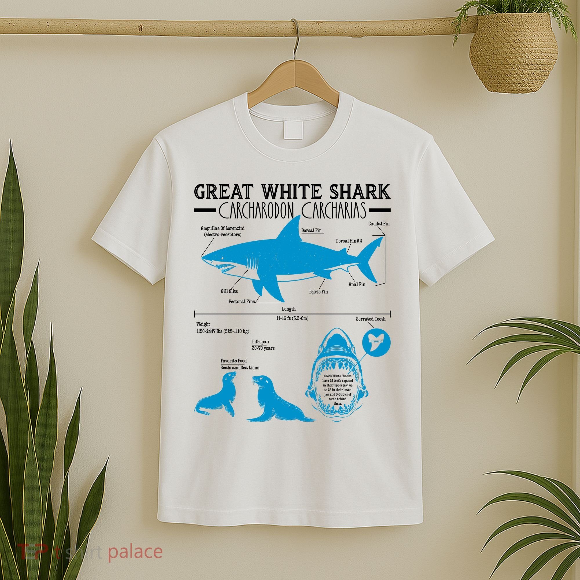 Great White Shark Carcharodon Carcharias Infographic T-Shirt