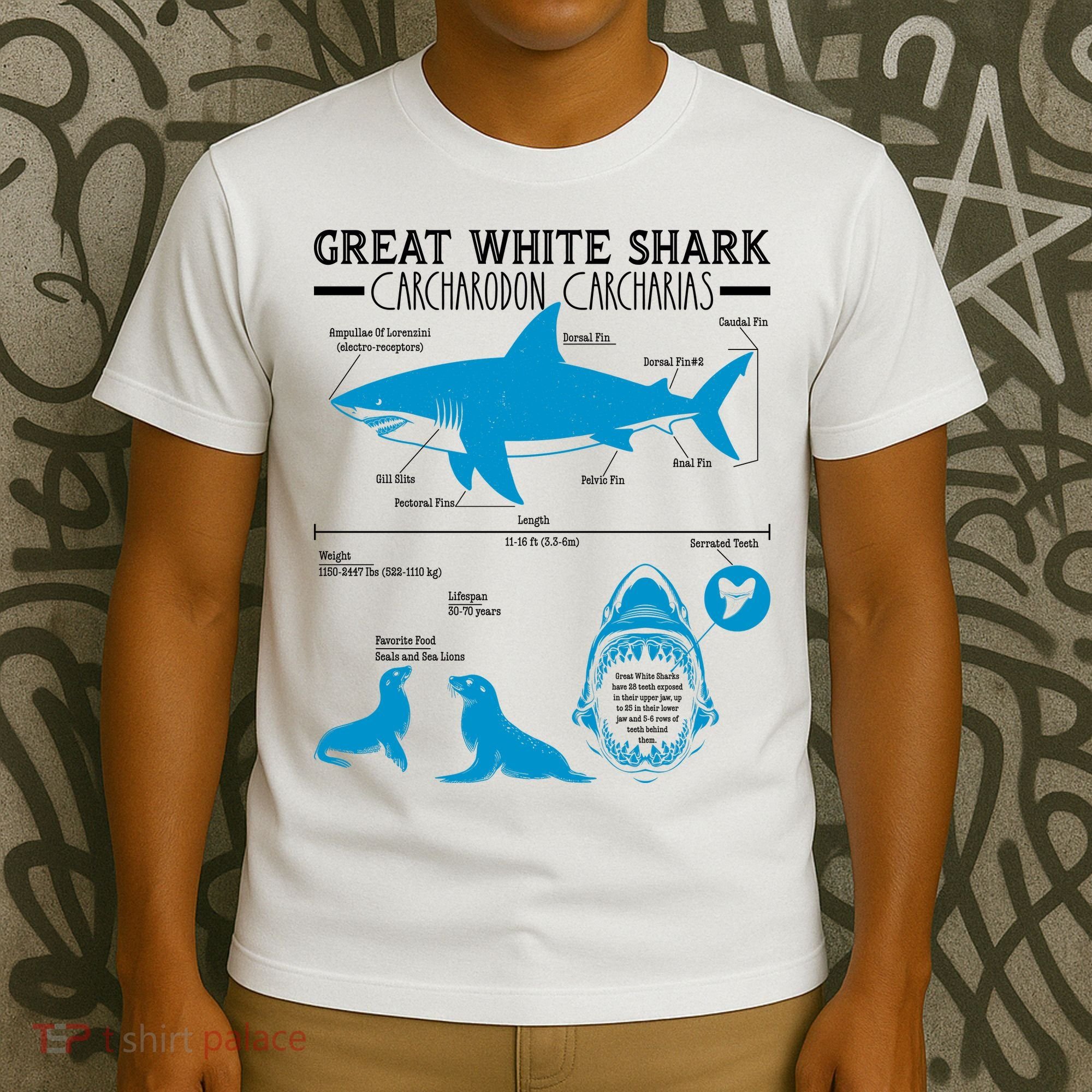 Great White Shark Carcharodon Carcharias Infographic T-Shirt