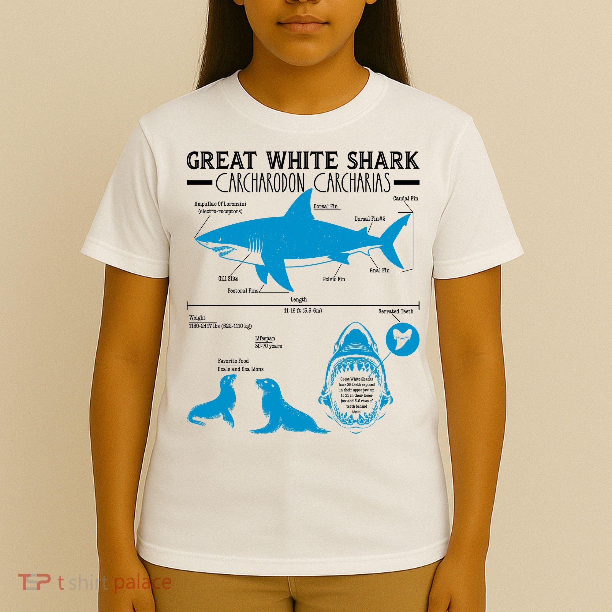 Great White Shark Carcharodon Carcharias Infographic T-Shirt