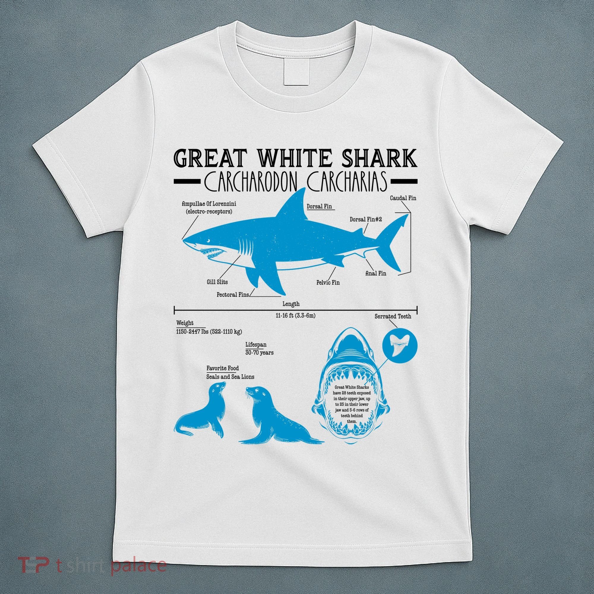Great White Shark Carcharodon Carcharias Infographic T-Shirt