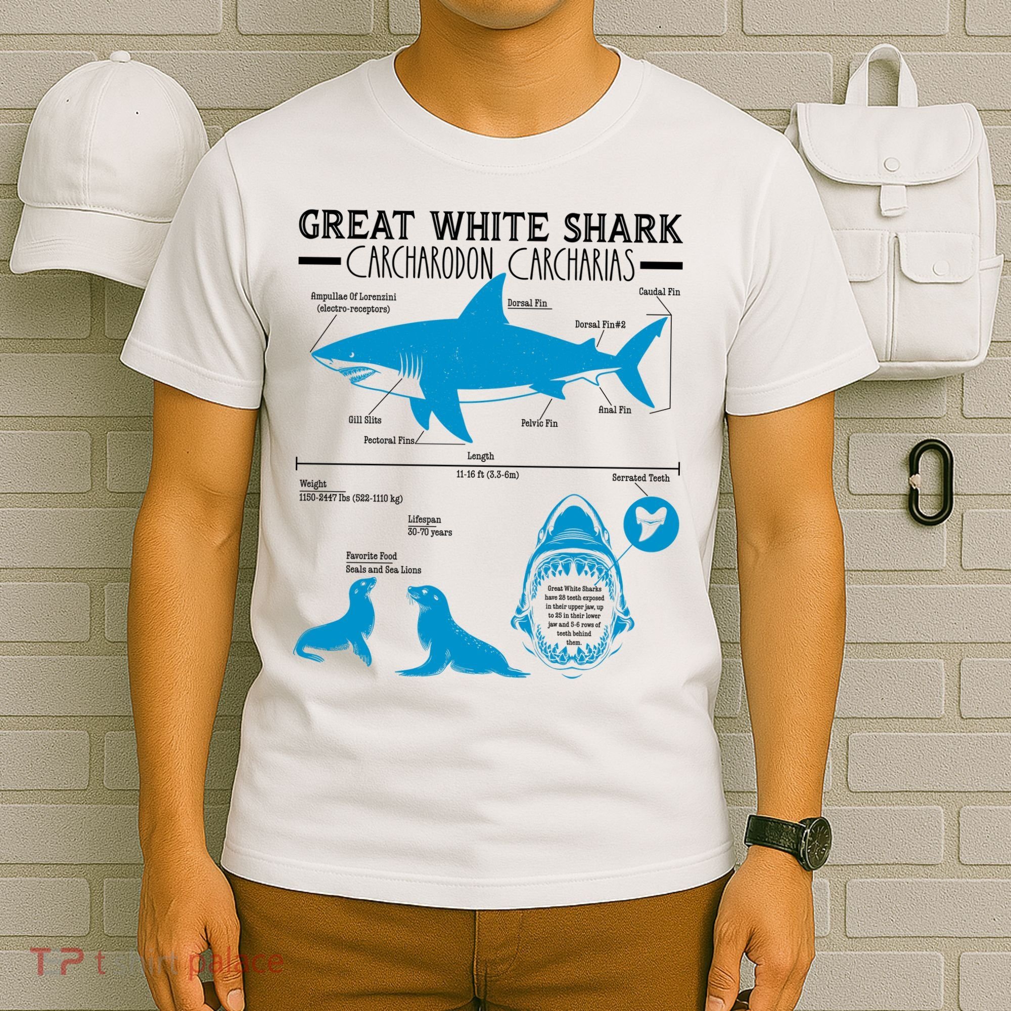 Great White Shark Carcharodon Carcharias Infographic T-Shirt