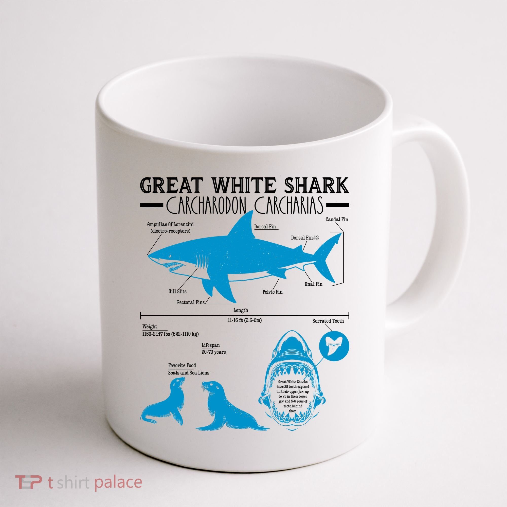 Great White Shark Carcharodon Carcharias Infographic Coffee Mug