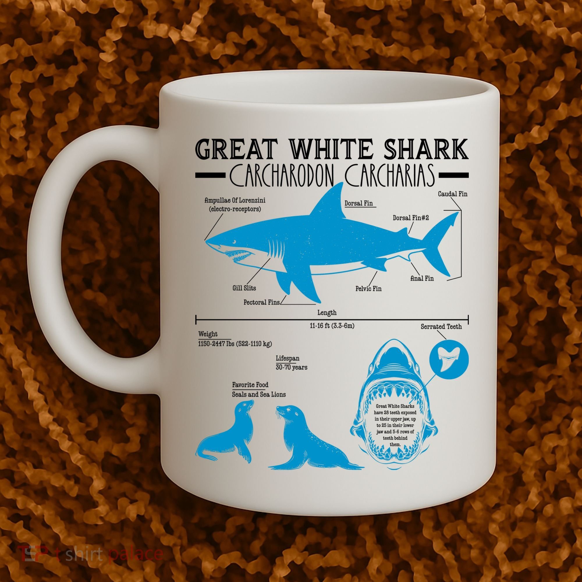Great White Shark Carcharodon Carcharias Infographic Coffee Mug