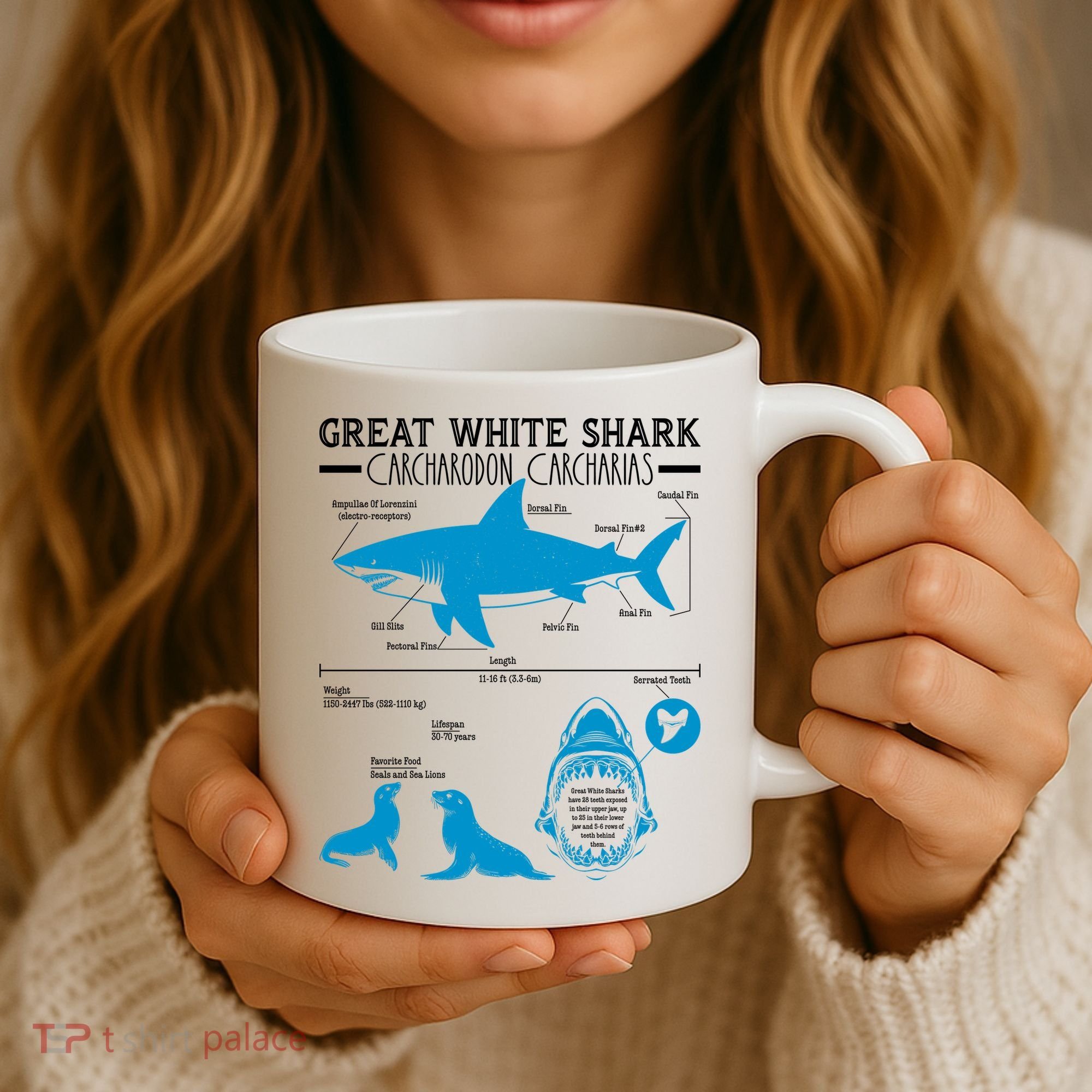 Great White Shark Carcharodon Carcharias Infographic Coffee Mug