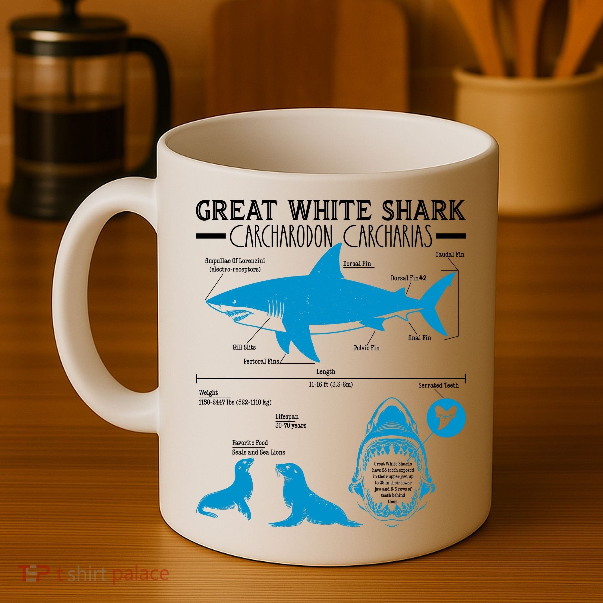 Great White Shark Carcharodon Carcharias Infographic Coffee Mug