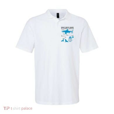 Great White Shark Carcharodon Carcharias Infographic Polo