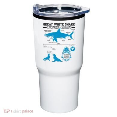 Great White Shark Carcharodon Carcharias Infographic Tumbler