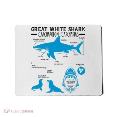 Great White Shark Carcharodon Carcharias Infographic Mousepad