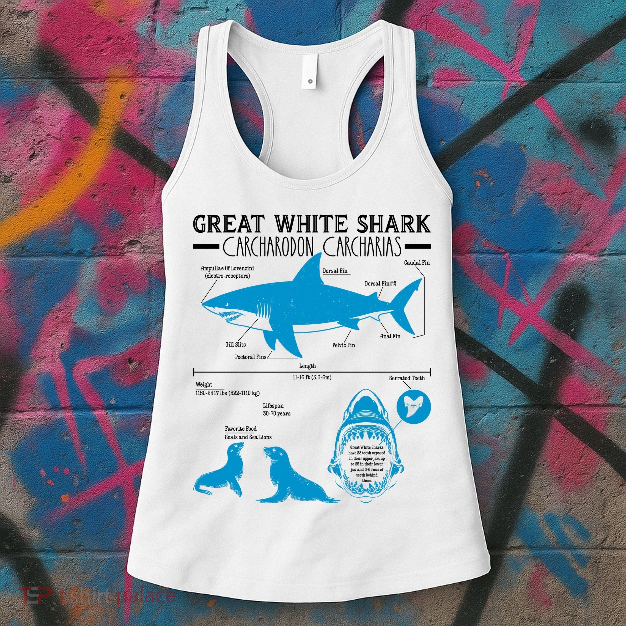 Great White Shark Carcharodon Carcharias Infographic Women's Tank Top