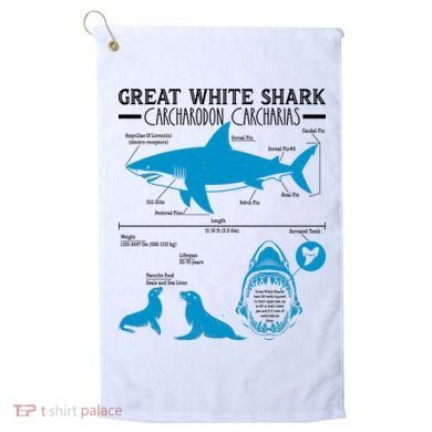 Great White Shark Carcharodon Carcharias Infographic Golf Towel