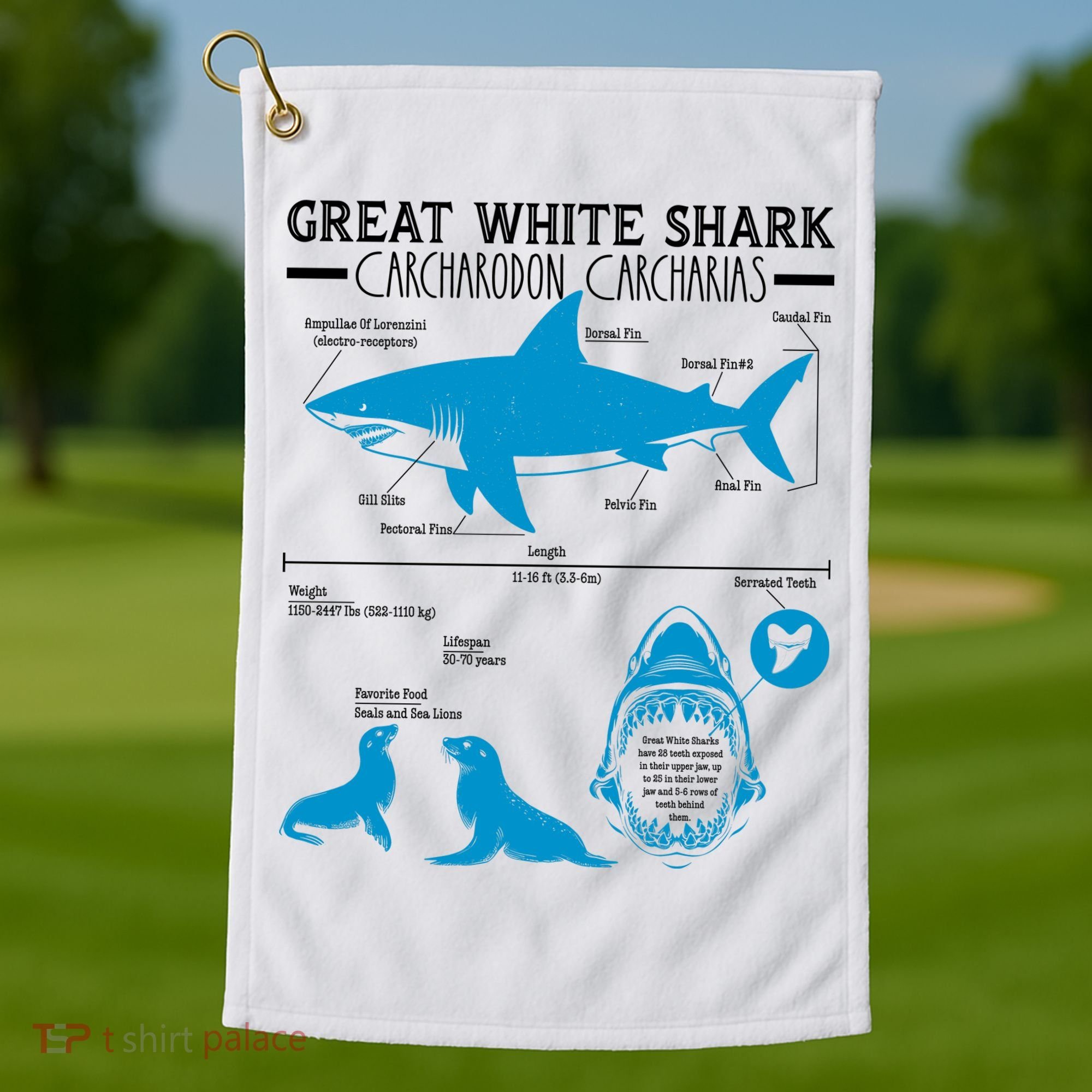 Great White Shark Carcharodon Carcharias Infographic Golf Towel