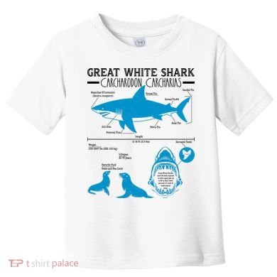 Great White Shark Carcharodon Carcharias Infographic Toddler T-Shirt