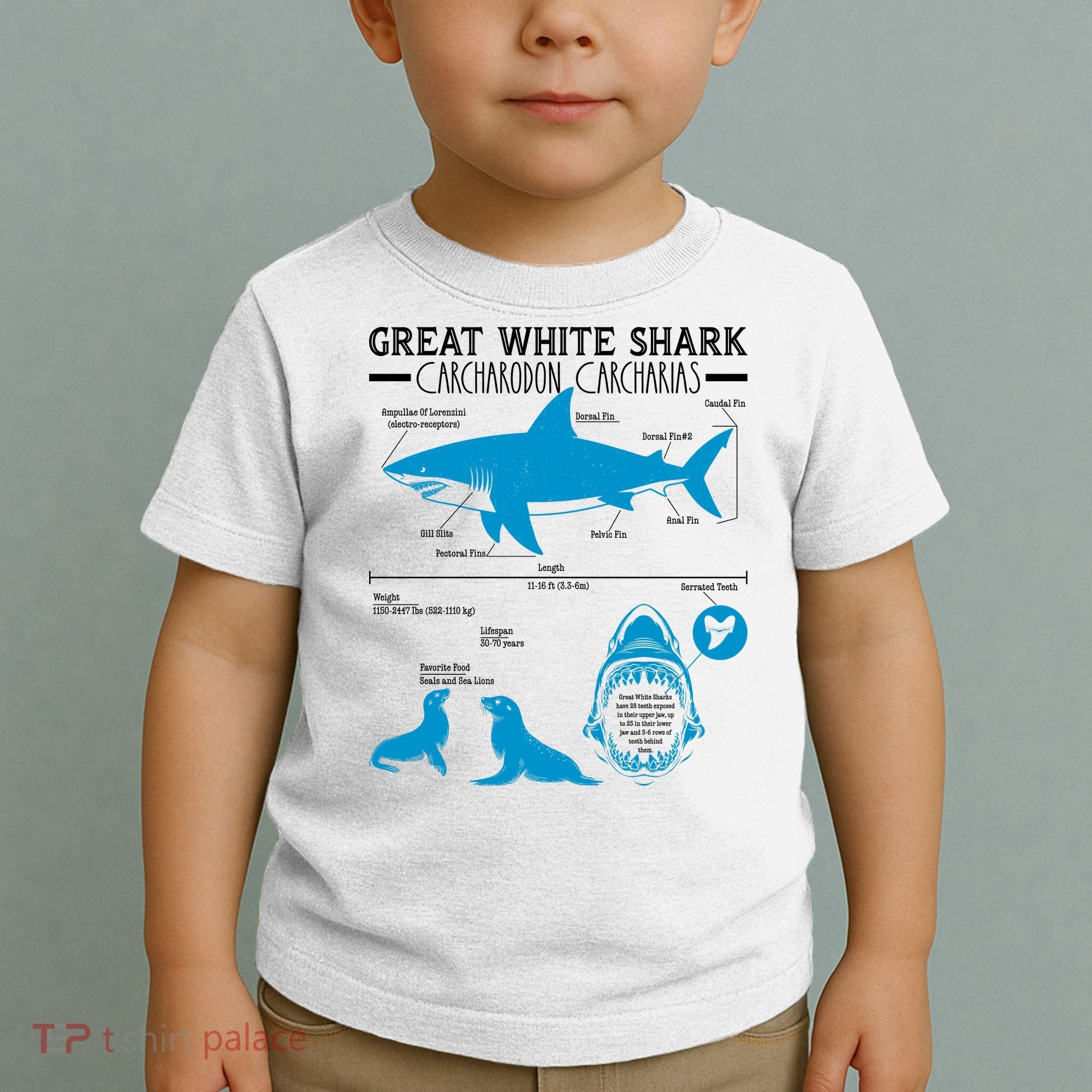 Great White Shark Carcharodon Carcharias Infographic Toddler T-Shirt