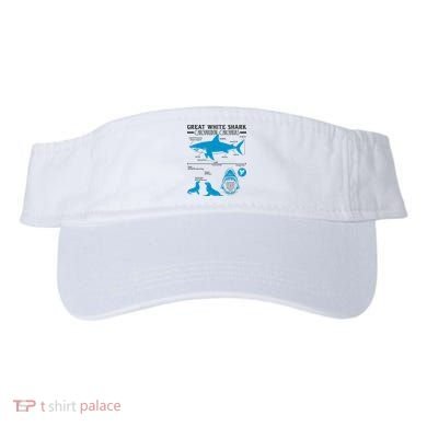 Great White Shark Carcharodon Carcharias Infographic Visor