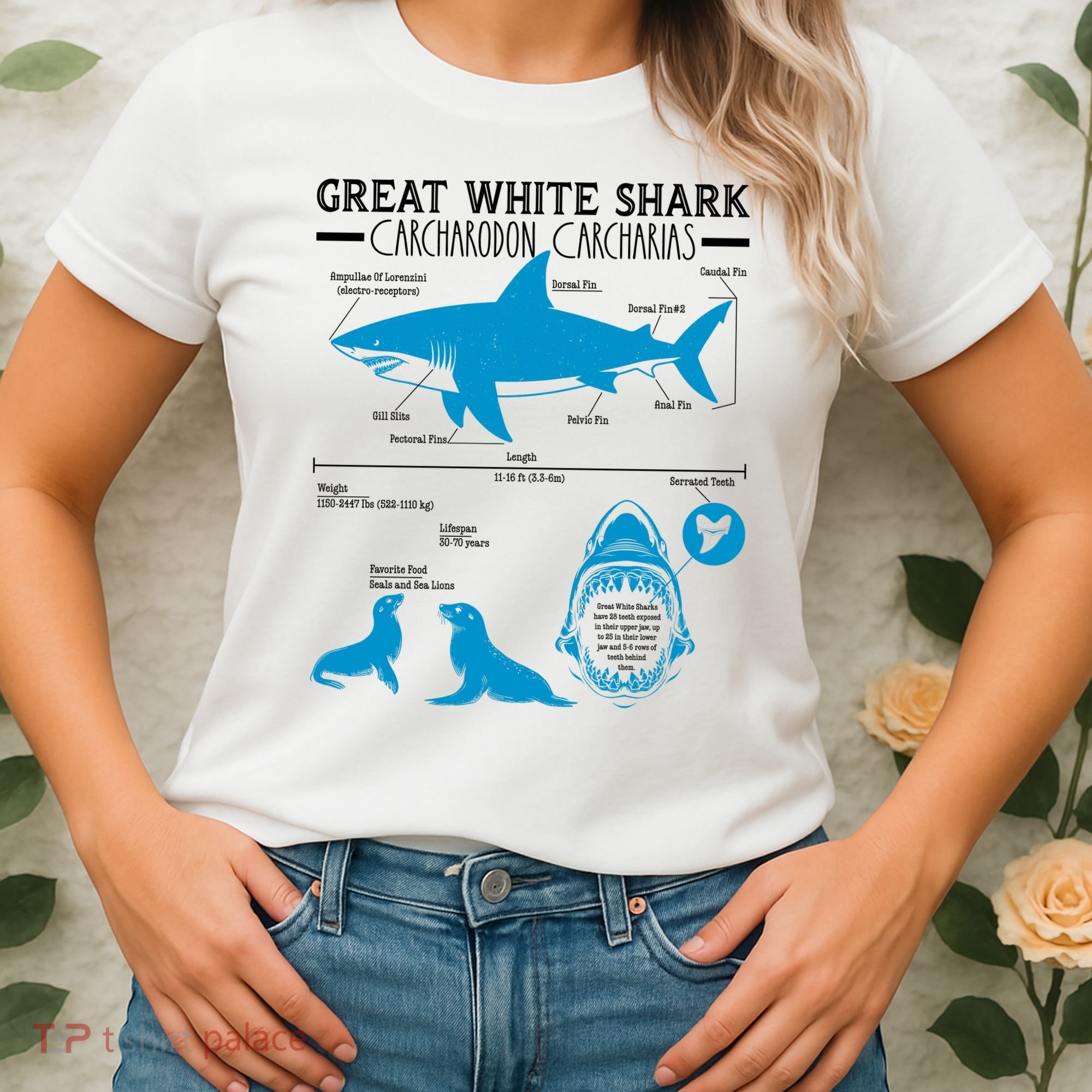 Great White Shark Carcharodon Carcharias Infographic Women's T-Shirt