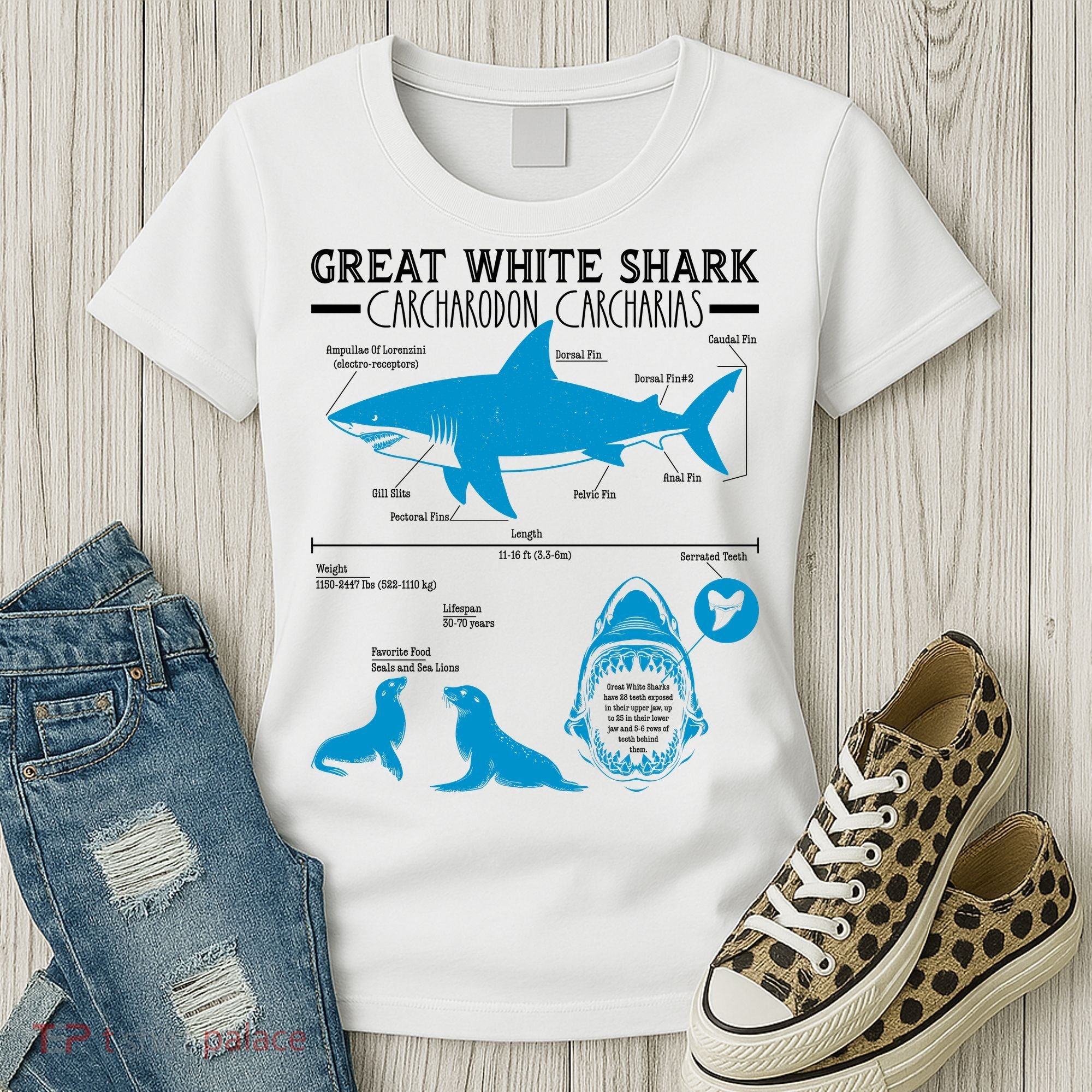 Great White Shark Carcharodon Carcharias Infographic Women's T-Shirt