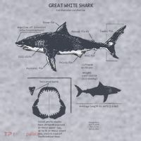 Great White Shark Anatomy Marine Biologist Women's Sweatshirt thumb 2