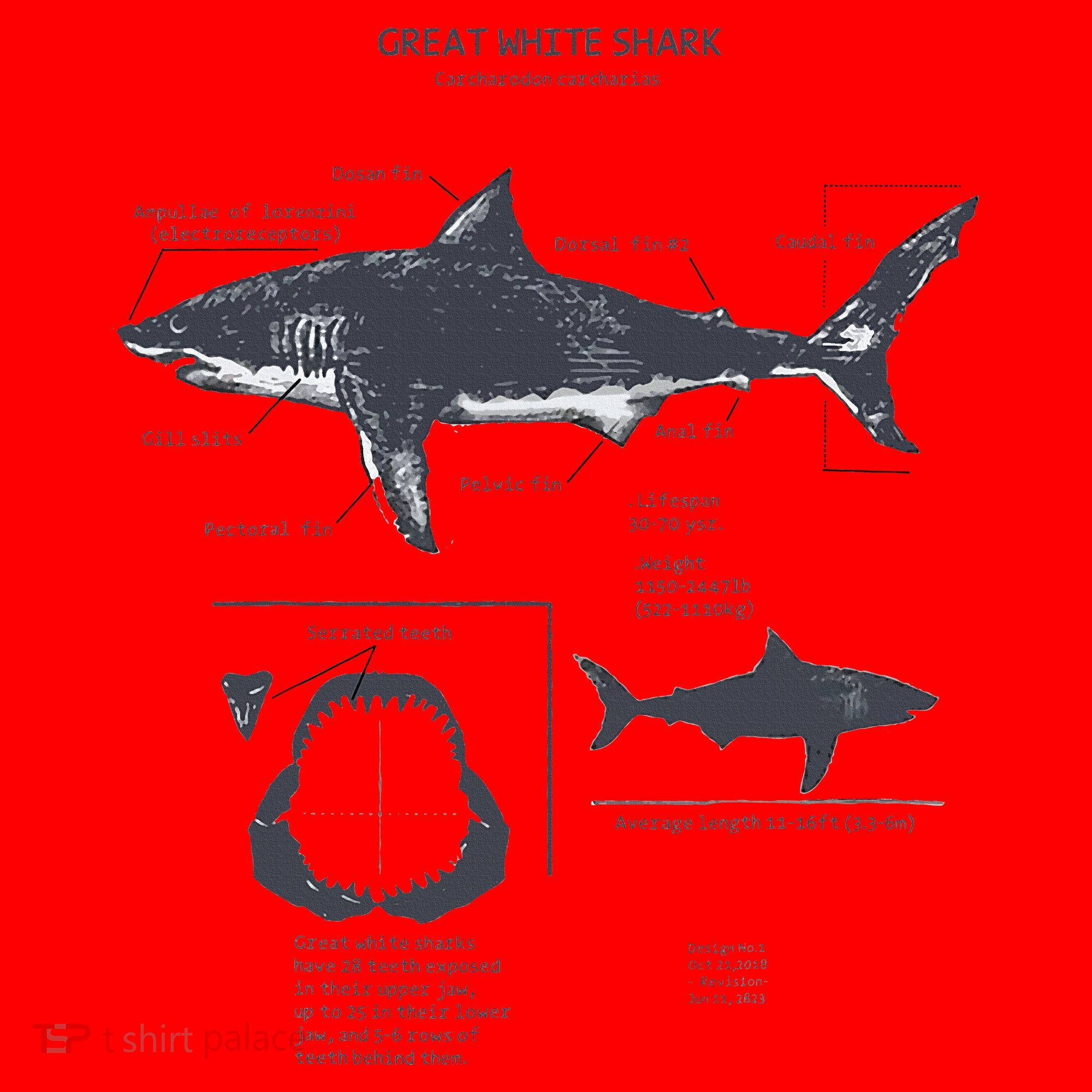 Great White Shark Anatomy Marine Biologist Santa Hat
