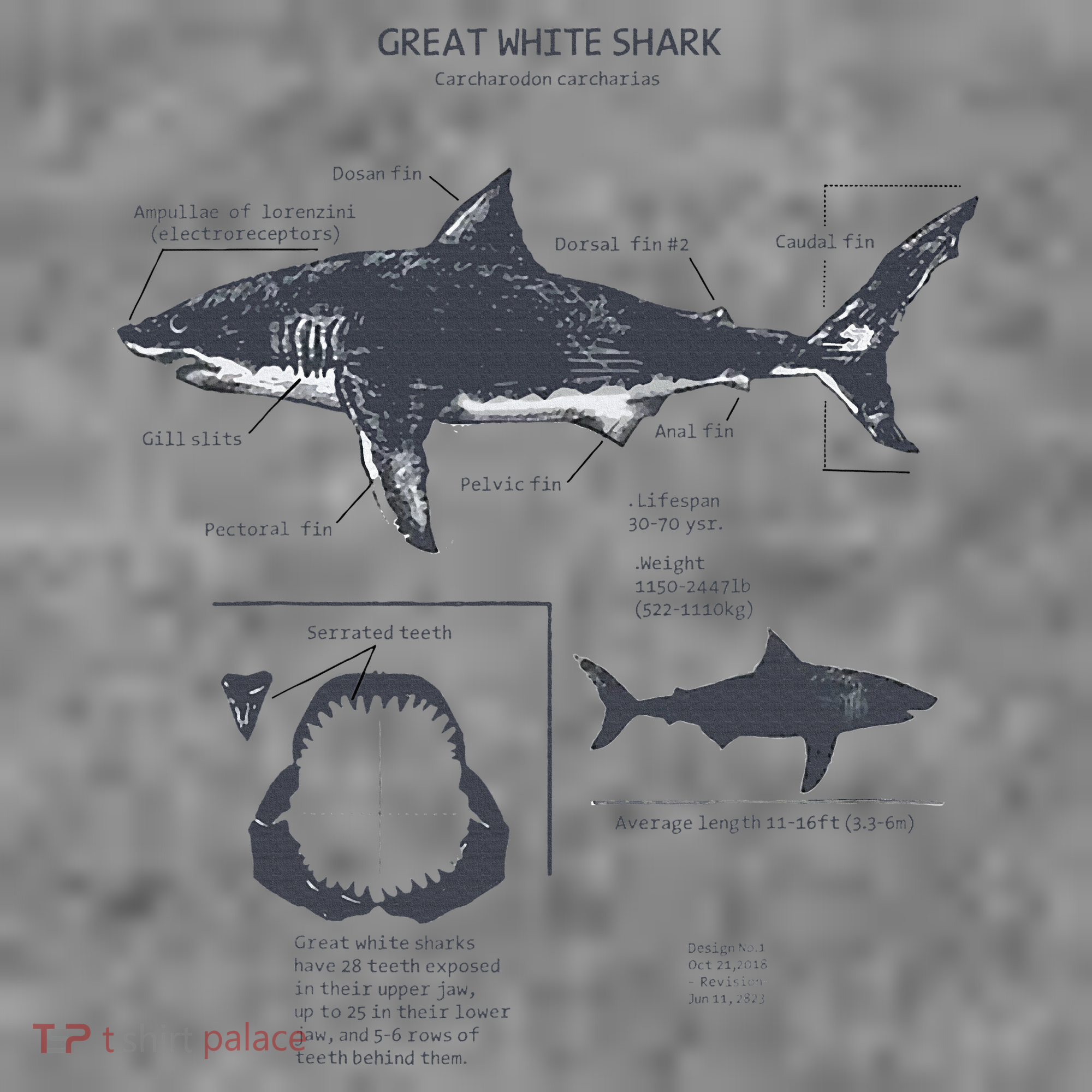 Great White Shark Anatomy Marine Biologist Toddler Hoodie