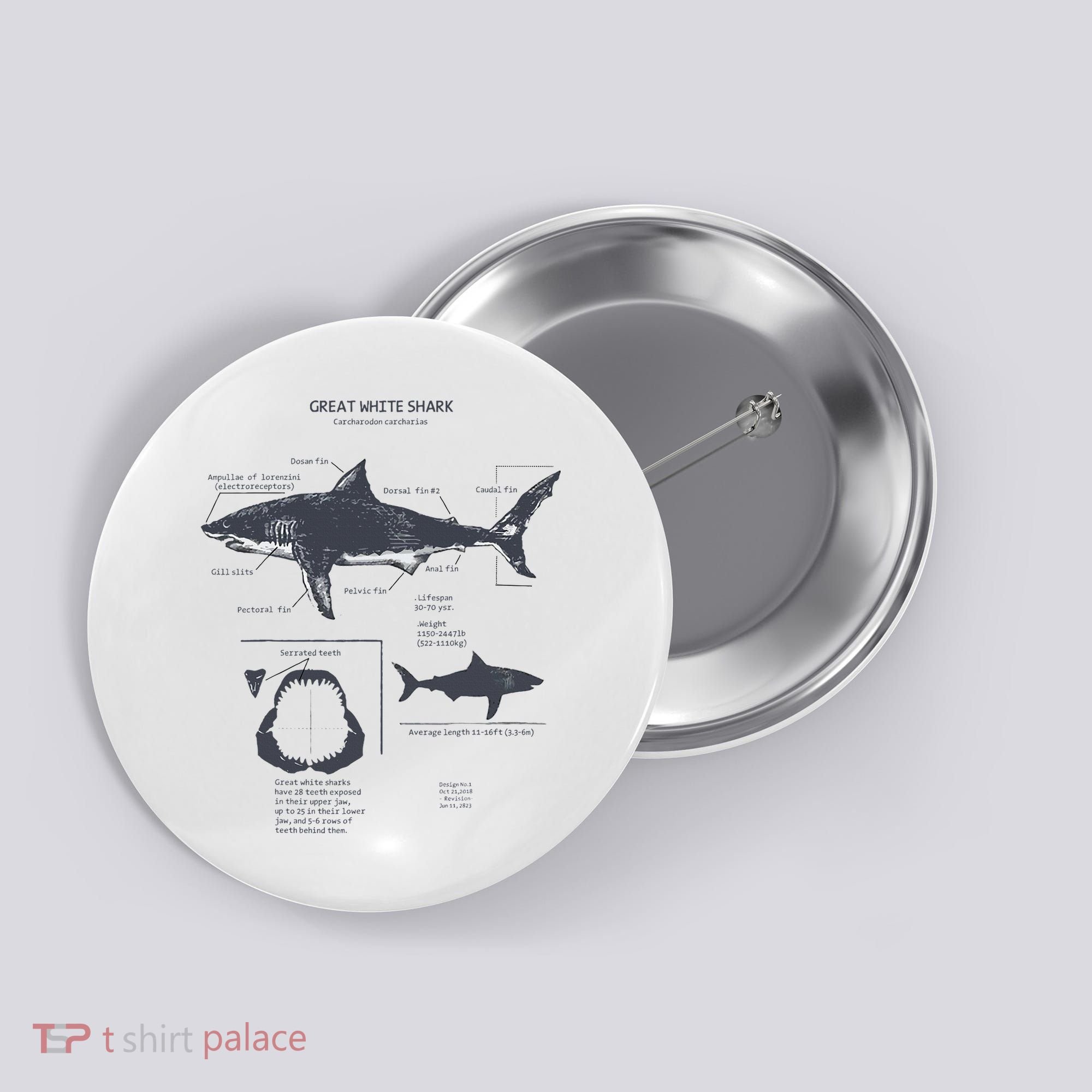 Great White Shark Anatomy Marine Biologist Button