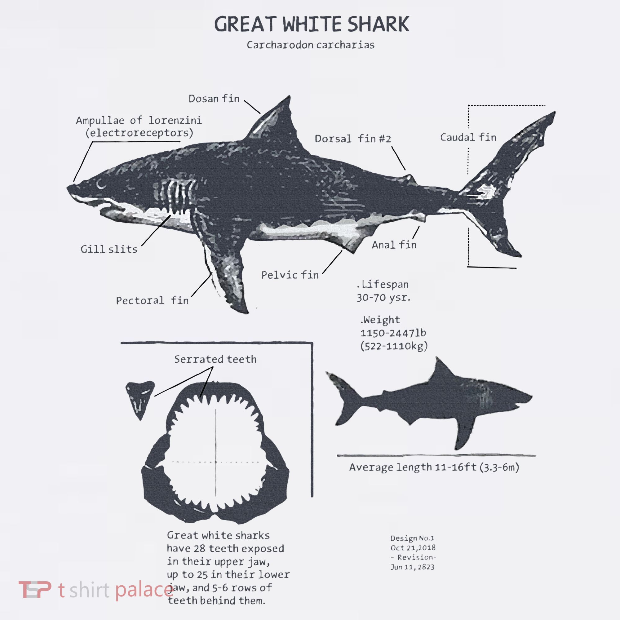 Great White Shark Anatomy Marine Biologist Mousepad