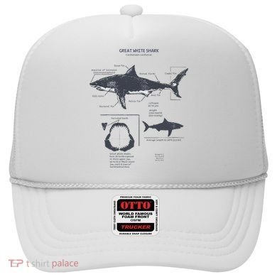 Great White Shark Anatomy Marine Biologist Hat