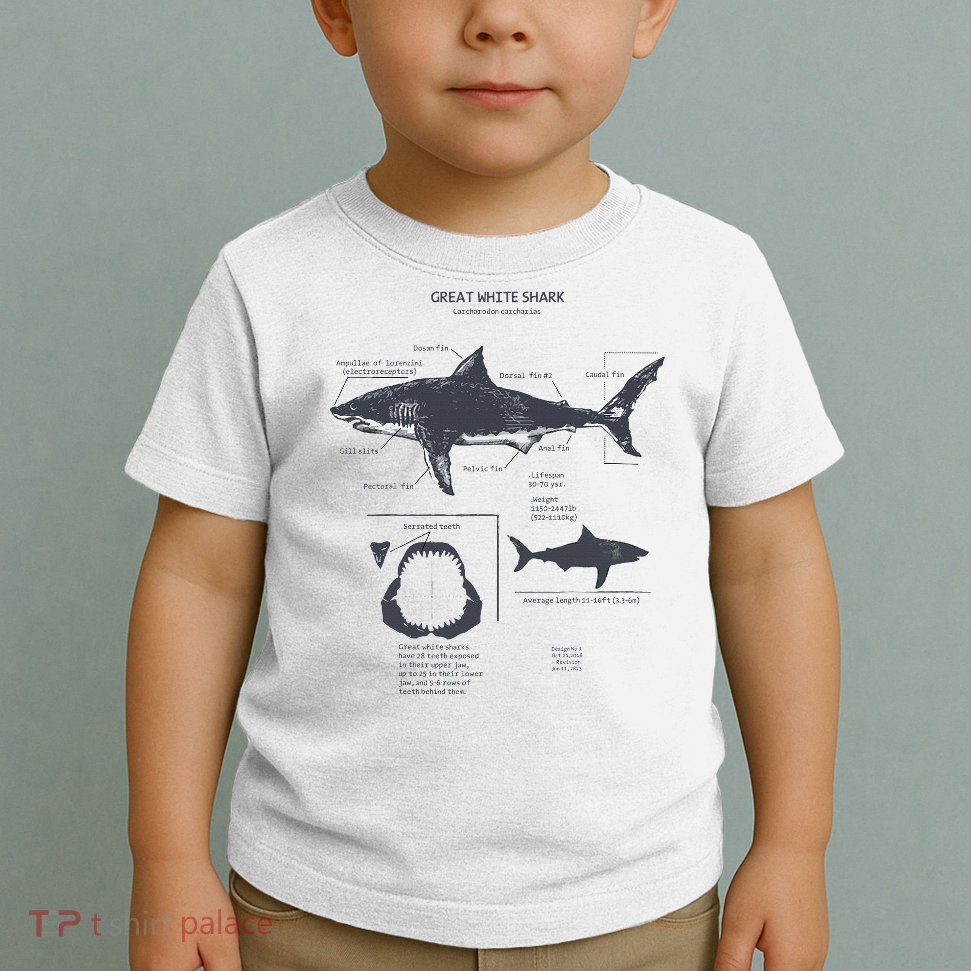 Great White Shark Anatomy Marine Biologist Toddler T-Shirt