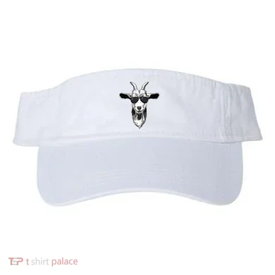 Visor