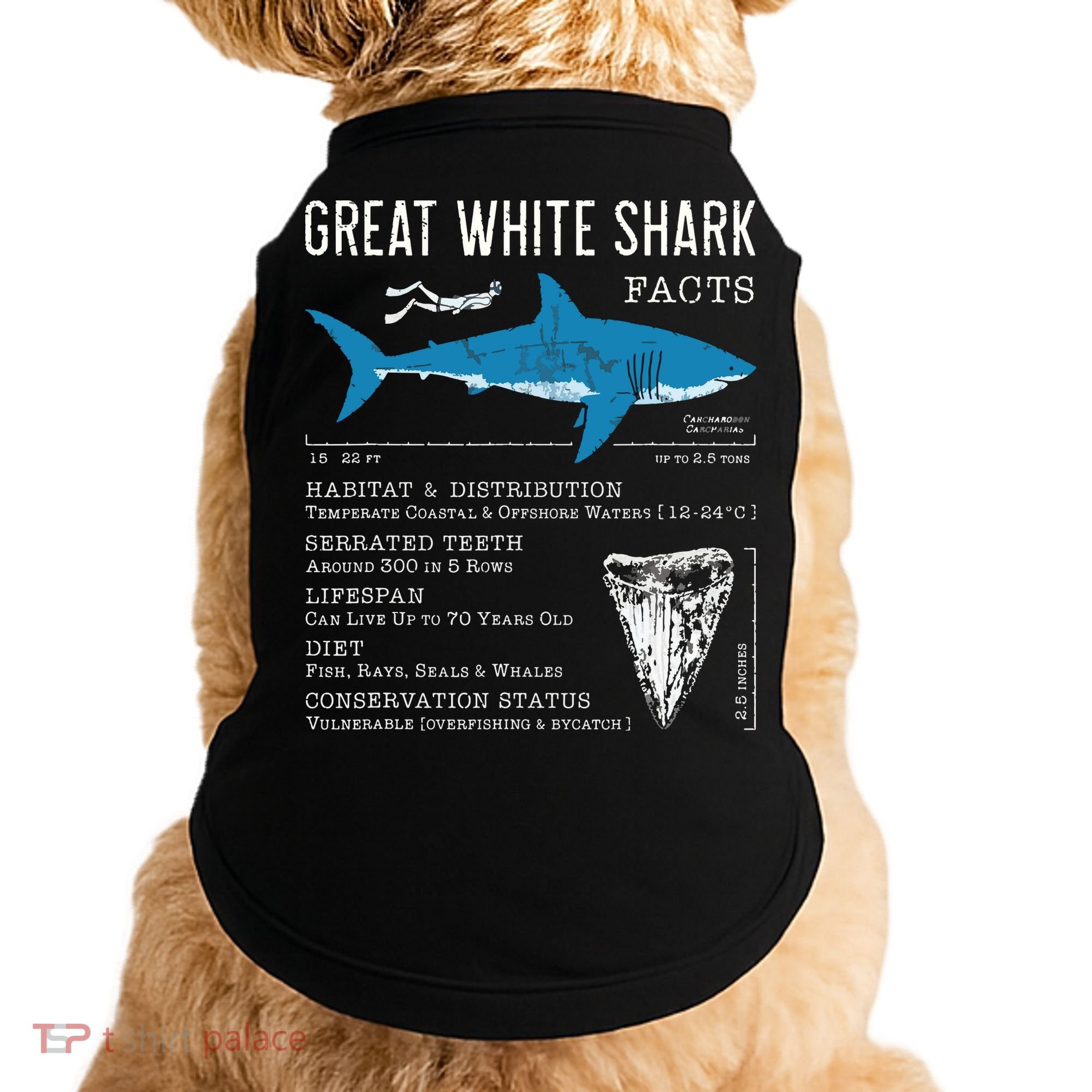 Great White Shark Facts Educational Shark Lover Sharks Tooth Doggie Tank