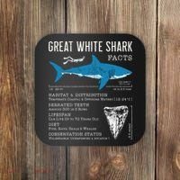 Great White Shark Facts Educational Shark Lover Sharks Tooth Coaster thumb 0