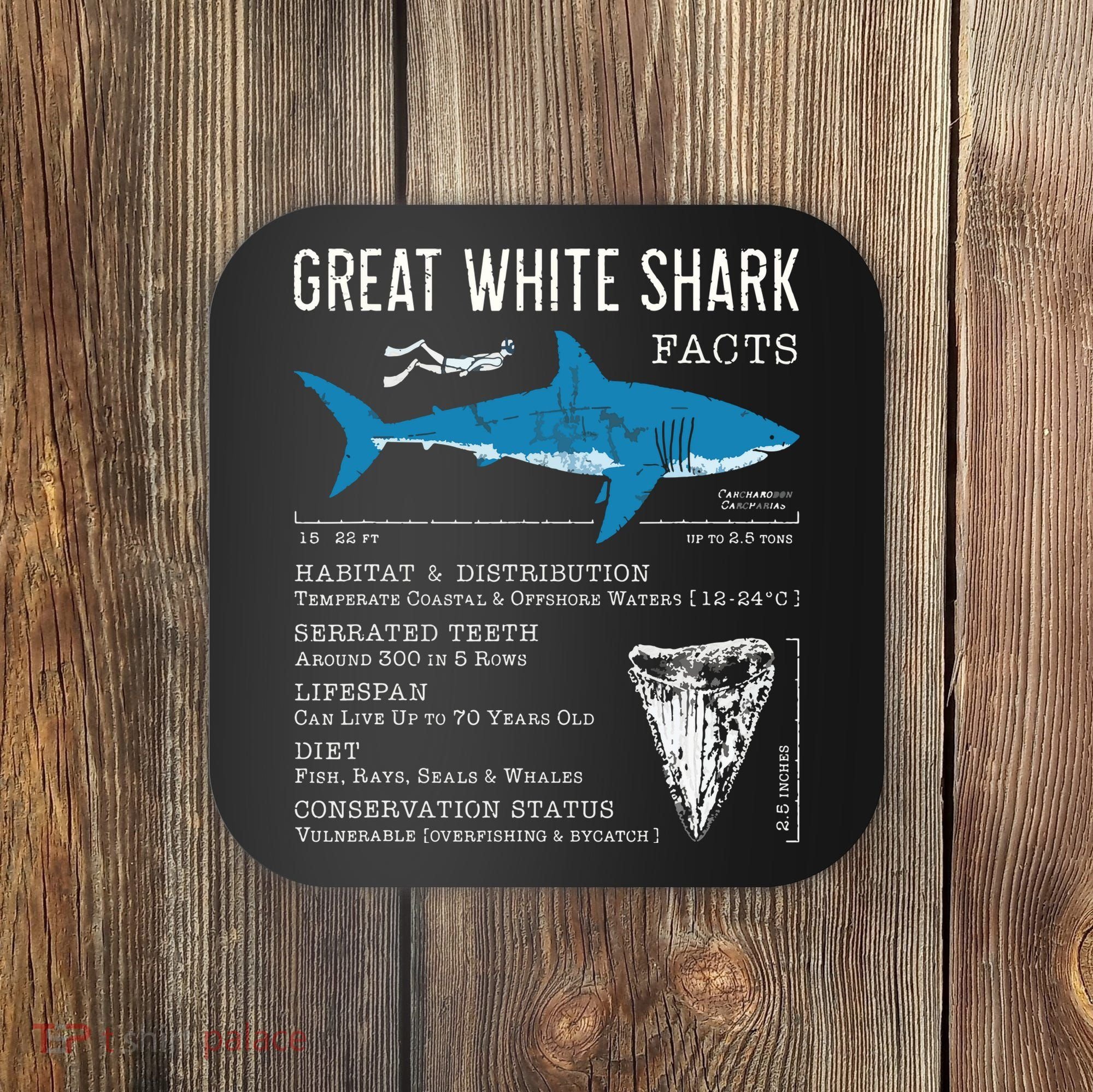Great White Shark Facts Educational Shark Lover Sharks Tooth Coaster