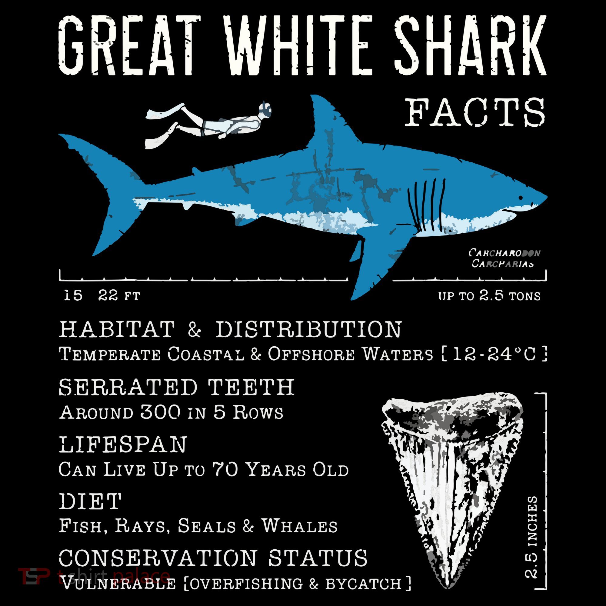 Great White Shark Facts Educational Shark Lover Sharks Tooth Women's Hoodie