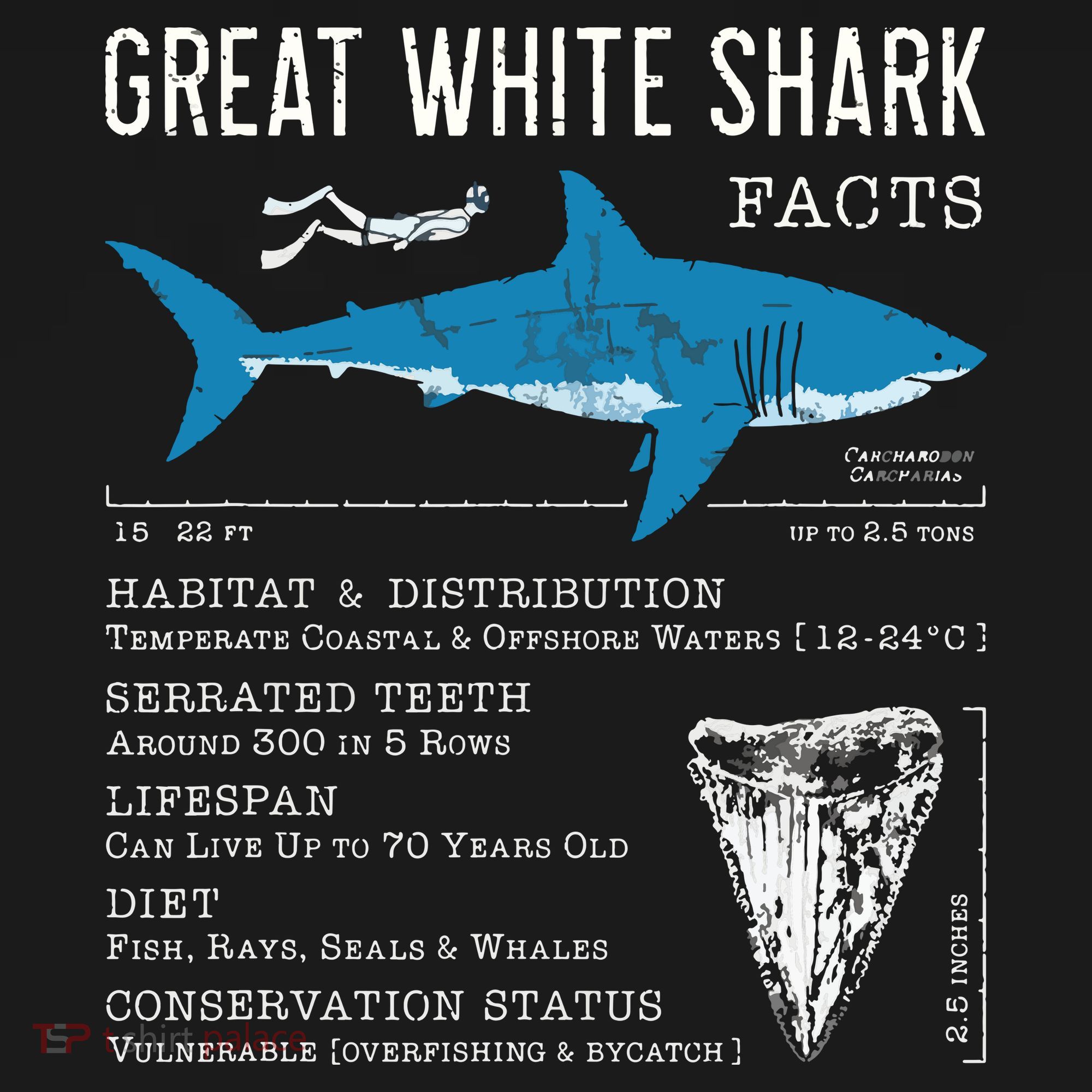 Great White Shark Facts Educational Shark Lover Sharks Tooth Women's Tank Top
