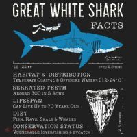 Great White Shark Facts Educational Shark Lover Sharks Tooth Hat thumb 2
