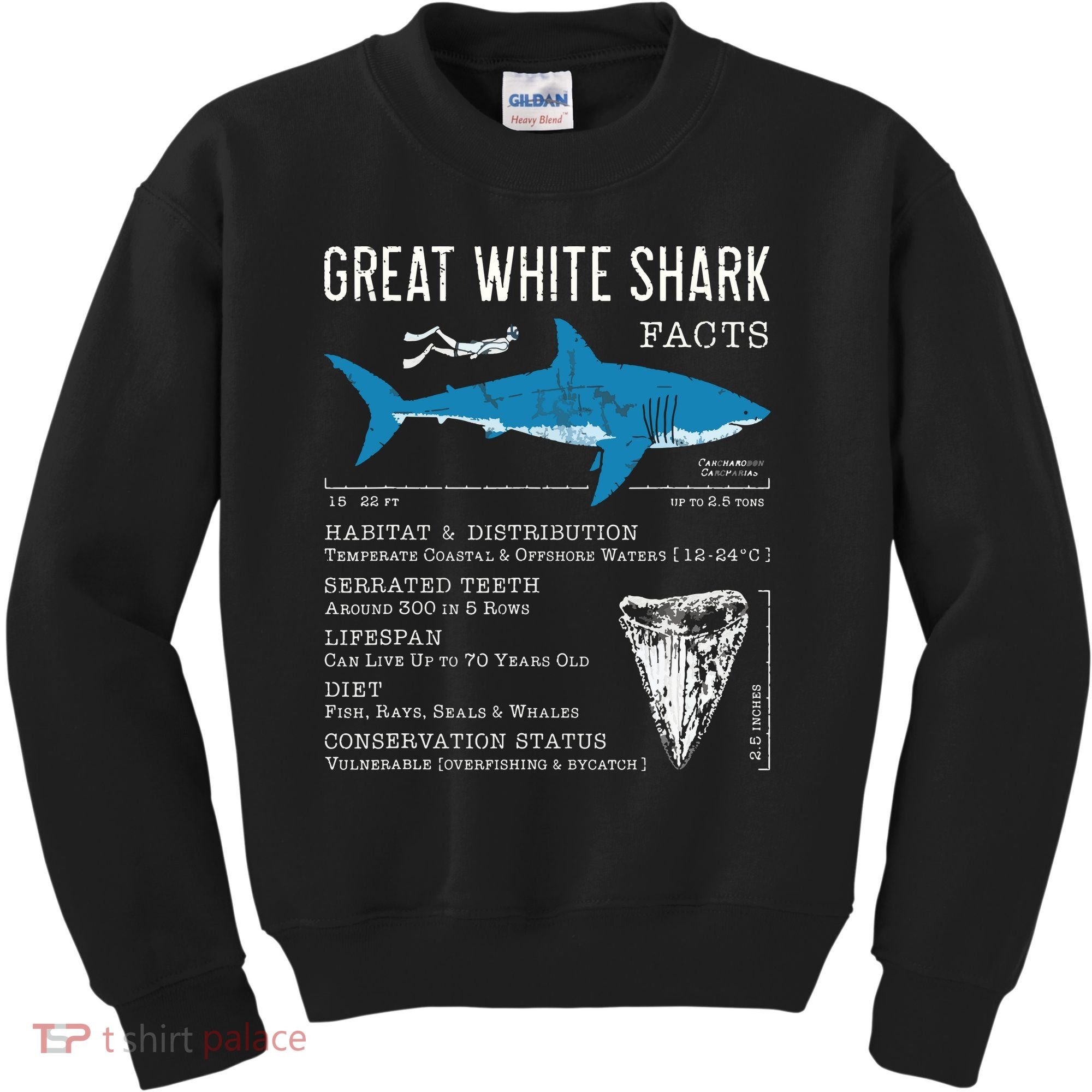 Great White Shark Facts Educational Shark Lover Sharks Tooth Kids Sweatshirt