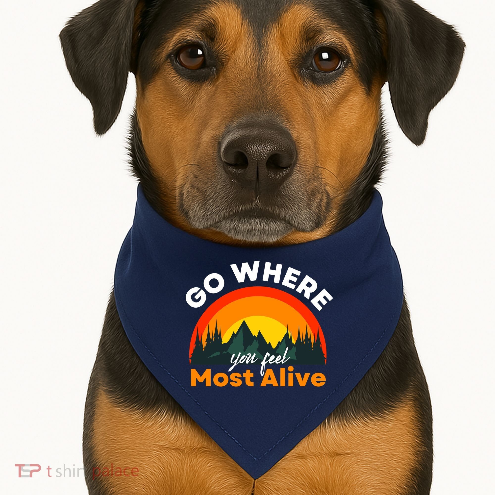 Go Where You Feel Most Alive Sunset Nature USA-Made Doggie Bandana