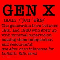 Gen X Funny Dictionary Generation Xer We DonT Care Meme Santa Hat thumb 1