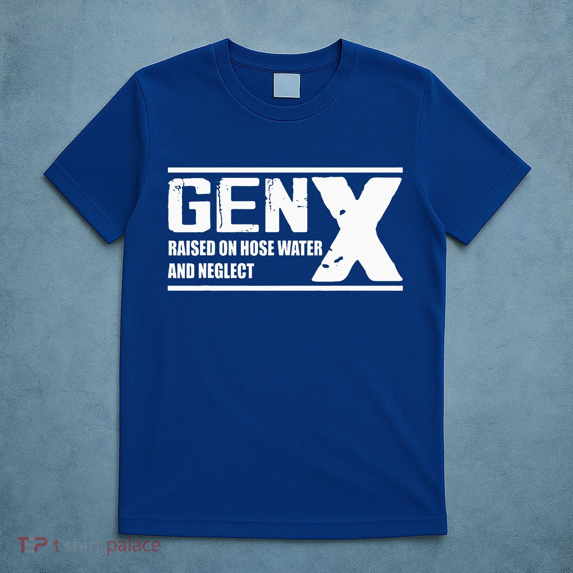 Gen X Raised On Hose Water And Neglect Funny T-Shirt