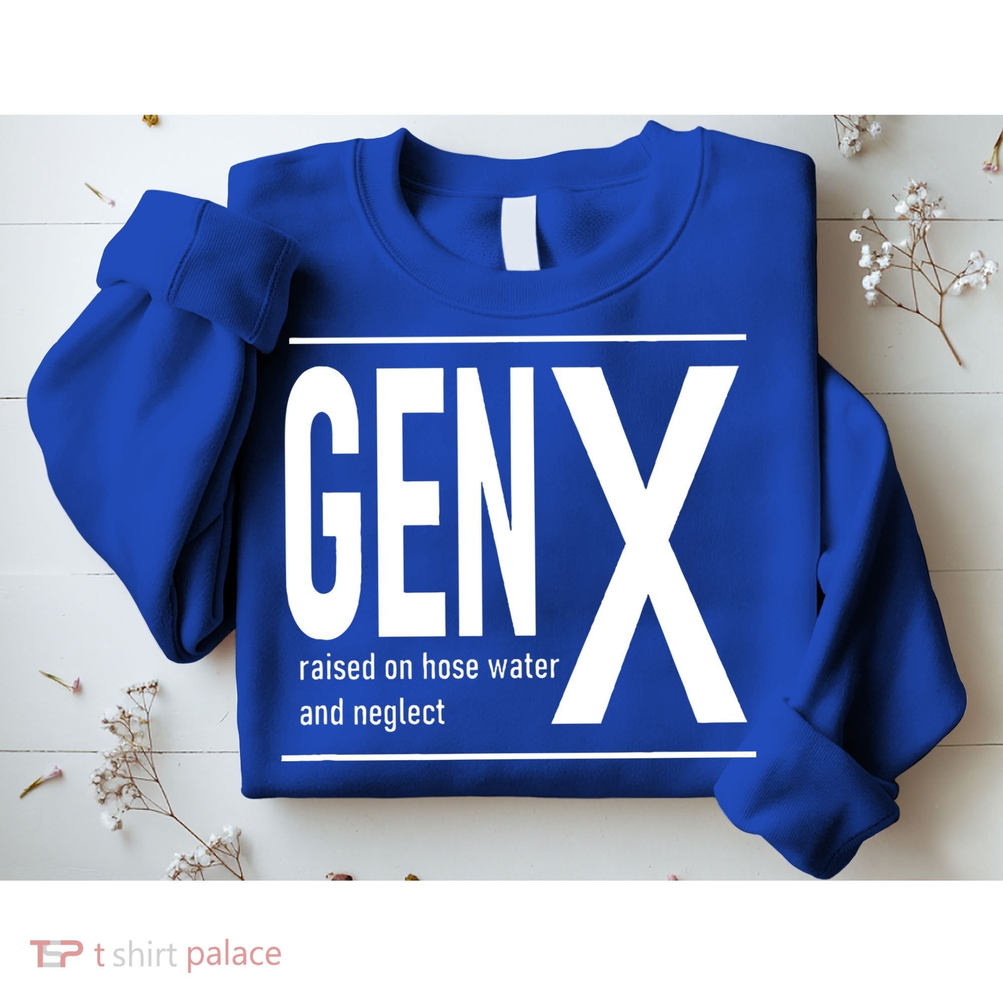GEN X raised on hose water and neglect humor (C) Sweatshirt
