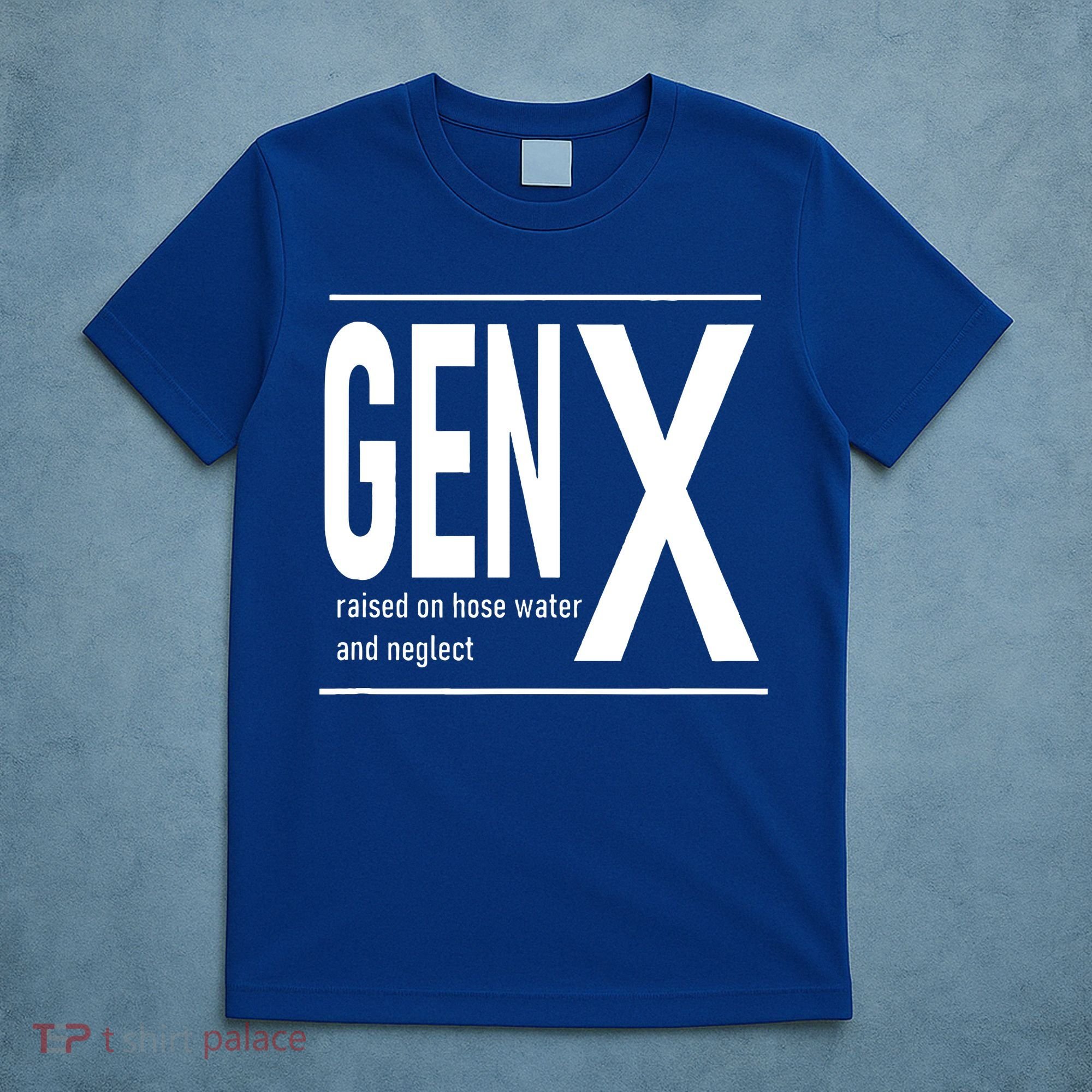 GEN X raised on hose water and neglect humor (C) T-Shirt