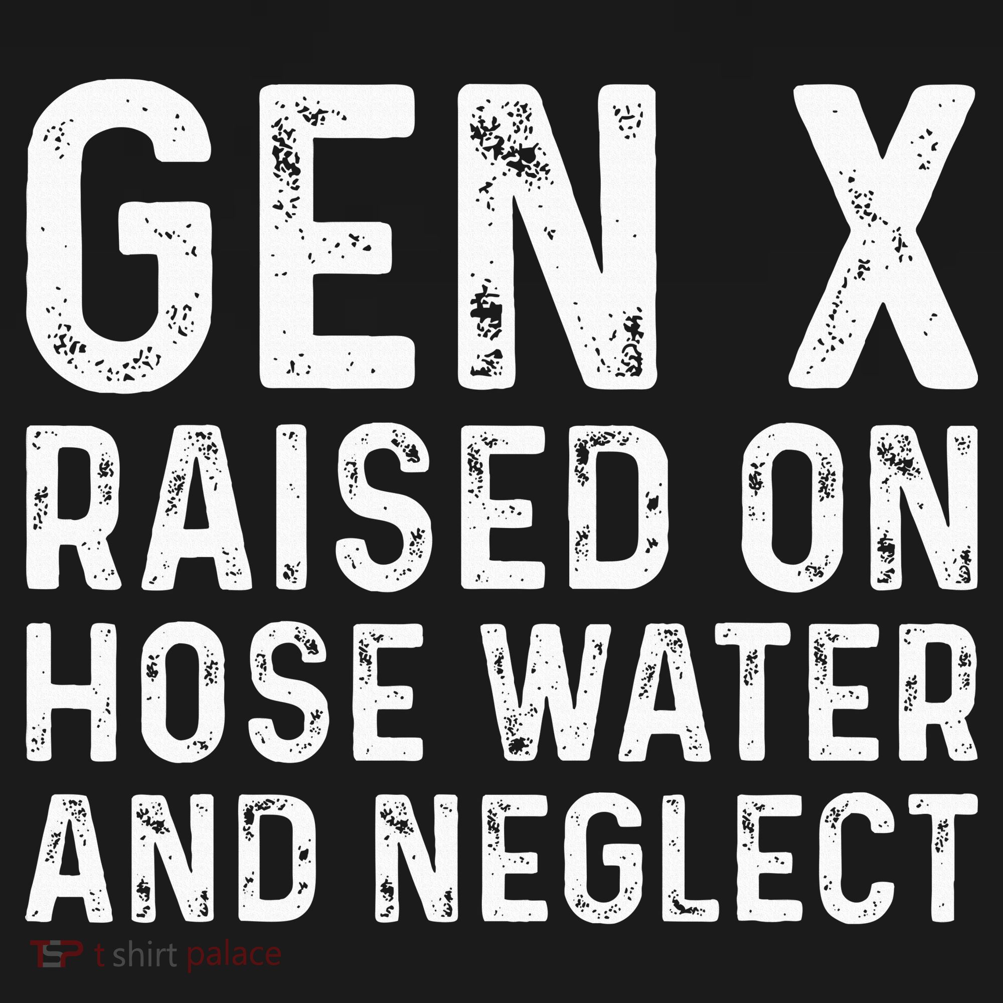 Generation X Raised On Hose Water And Neglect Ornament