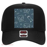 Gemini Zodiac Astrology Hat thumb 0