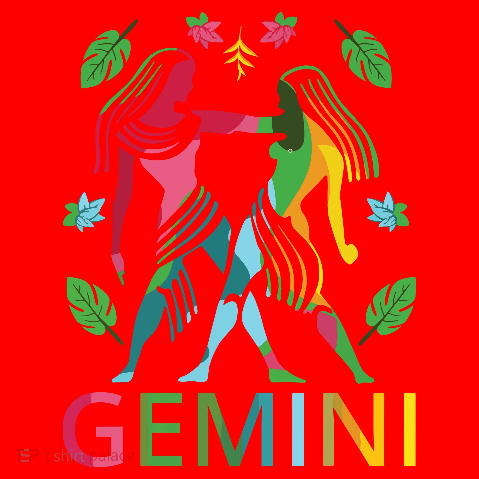 Gemini Zodiac Spring Gemini Birthday Santa Hat