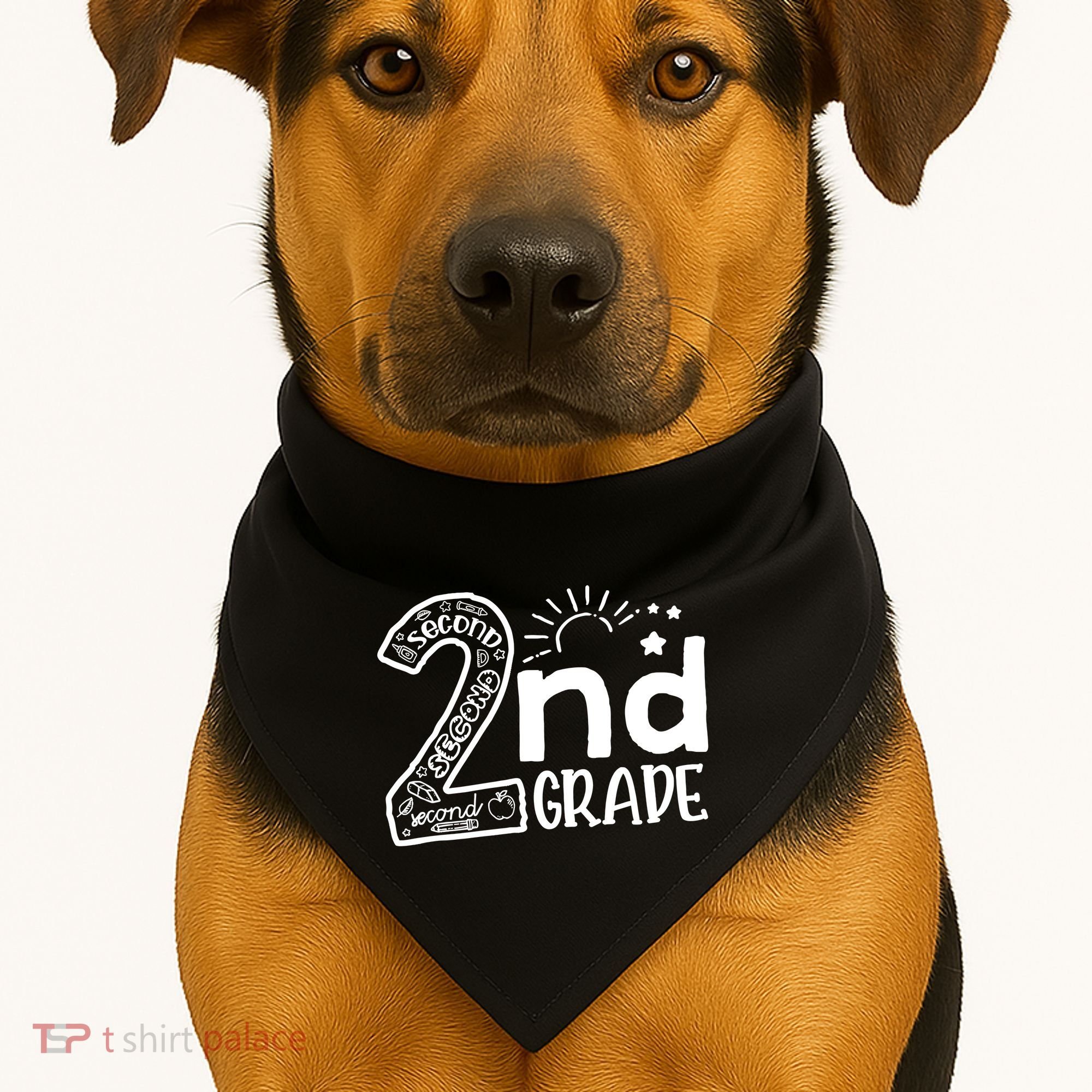 Hello 2nd Grade Teachers Boy And Team Second Grade USA-Made Doggie Bandana