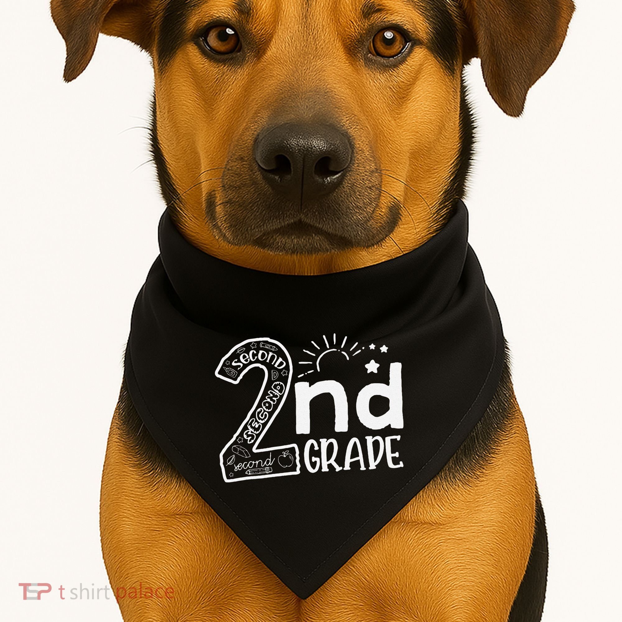 Hello 2nd Grade Teachers And Team Second Grade USA-Made Doggie Bandana