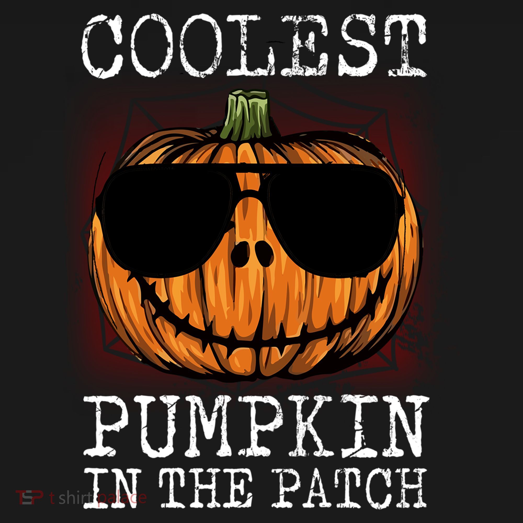 Holiday 365 Halloween Coolest Pumpkin In The Patch Gift Women's Hoodie