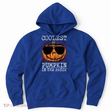 Holiday 365 Halloween Coolest Pumpkin In The Patch Gift Hoodie